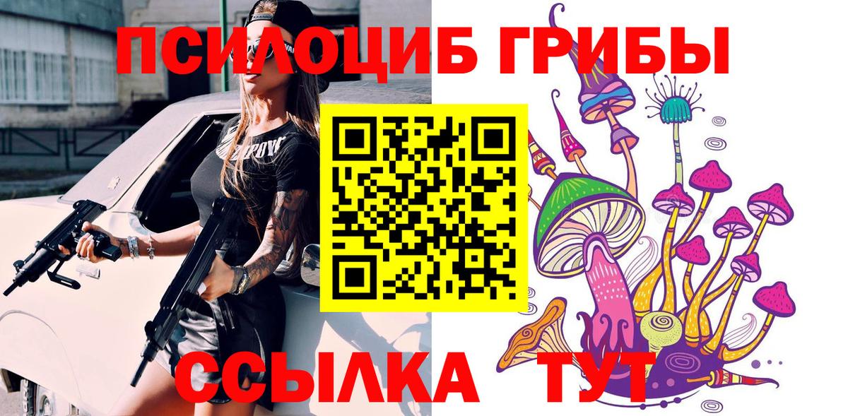 Галлюциногенные грибы Psilocybe Сухой Лог