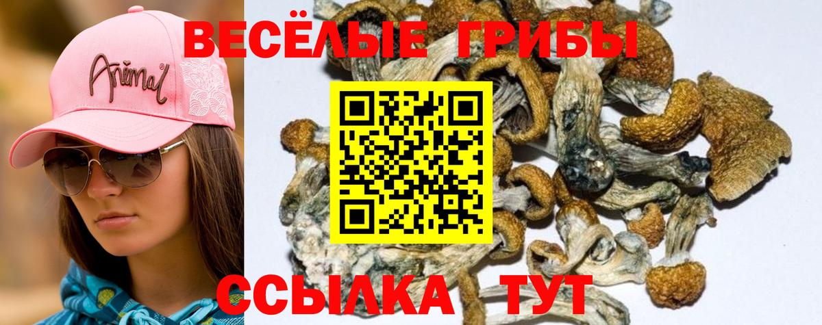 Сухой Лог  Галлюциногенные грибы Magic Shrooms  Вход с VPN  Псилоцибиновые грибы ЛСД 